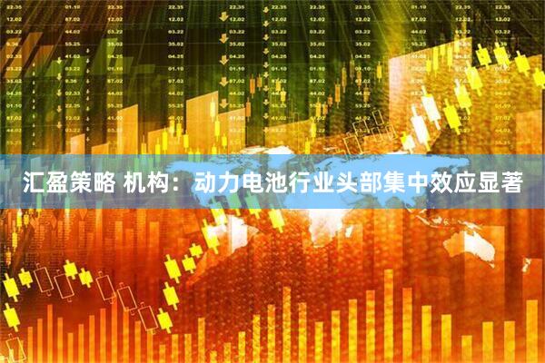 汇盈策略 机构：动力电池行业头部集中效应显著